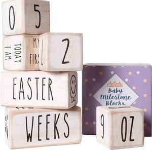 COPY - Wooden Baby Monthly Milestone Blocks